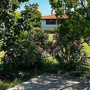 https://house-la-vida.pula-hotels.org